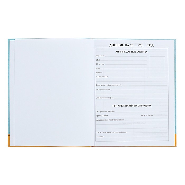 Дневник для 5-11 классов Дневник для 5-11 классов "Снова в школу. Герб", твёрдая обложка, глянцевая ламинация, 48 листов