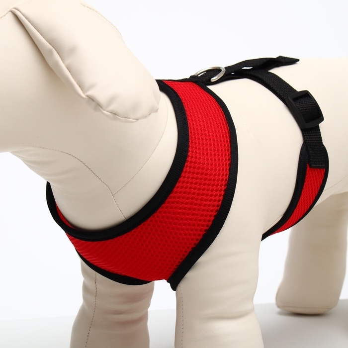 Шлейка мягкая из неопрена, размер L, ОШ 39 см, ОГ 36-46 см, красная Шлейка мягкая из неопрена, размер L, ОШ 39 см, ОГ 36-46 см, красная