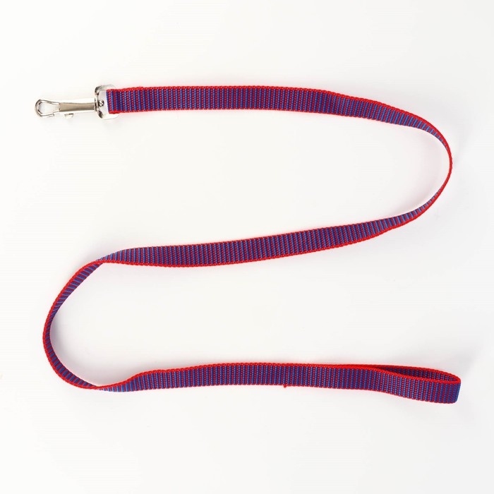 Комплект амуниции рельефный, 2 см, поводок 120 см, красно-синий Комплект амуниции рельефный, 2 см, поводок 120 см, красно-синий