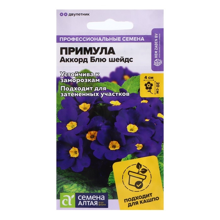 Семена Примула  Семена Примула "Аккорд Блю шейдс", ц/п,  5 шт