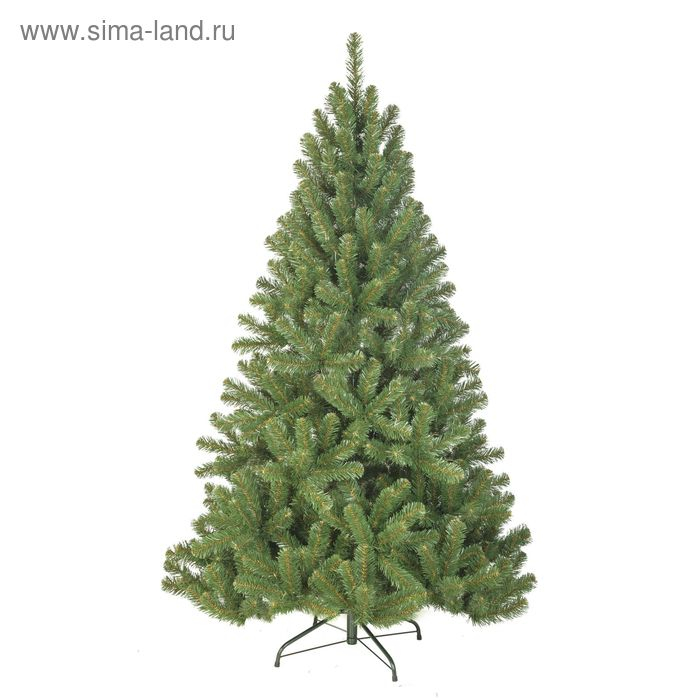 Сосна  Сосна "Звездная" 150 см, d нижнего яруса 105 см, 420 веток