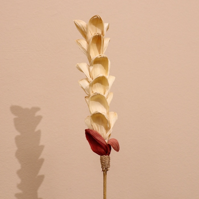 Сухоцвет на бамбуковом стебле 150 см белый Сухоцвет на бамбуковом стебле 150 см белый