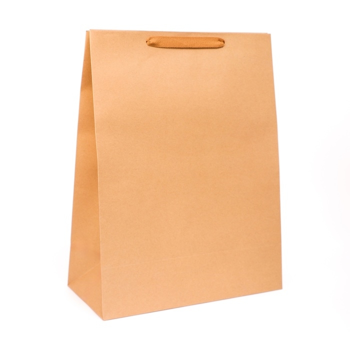 Пакет крафт без печати, 38 x 50 x 18 см 210 гр Пакет крафт без печати, 38 x 50 x 18 см 210 гр