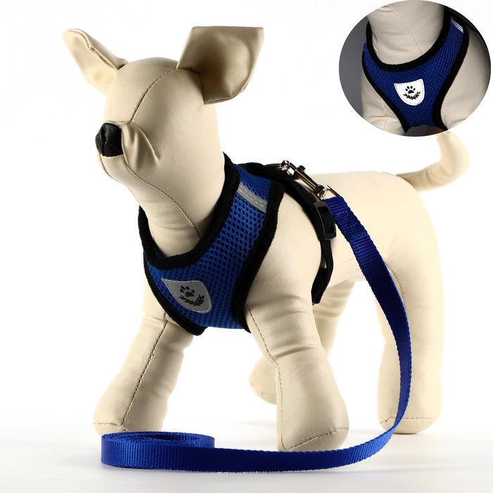 Комплект амуниции со светоотражающей нашивкой, S, ОШ 24 см, ОГ 28-33 см, синий Комплект амуниции со светоотражающей нашивкой, S, ОШ 24 см, ОГ 28-33 см, синий