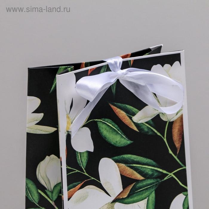 Пакет подарочный с лентой, упаковка, &laquo;Present&raquo;, 13 х 23 х 7 см