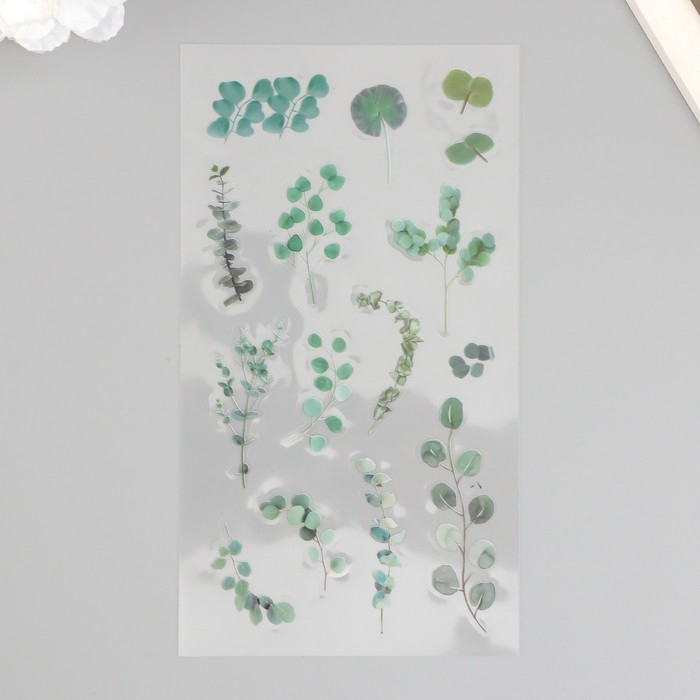 Наклейки пластик Наклейки пластик "Эвкалипт" набор 6 листов 10х18 см