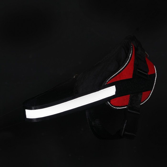 Шлейка К9 мягкая светоотражающая, размер M, ОГ 55-65 см, вес 11-20 кг, красная Шлейка К9 мягкая светоотражающая, размер M, ОГ 55-65 см, вес 11-20 кг, красная