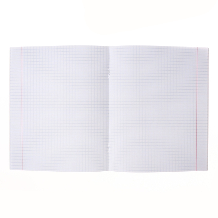 Тетрадь 40 листов в клетку Тетрадь 40 листов в клетку "Девочка-кошка", обложка мелованный картон, блок офсет 65г/м2, МИКС