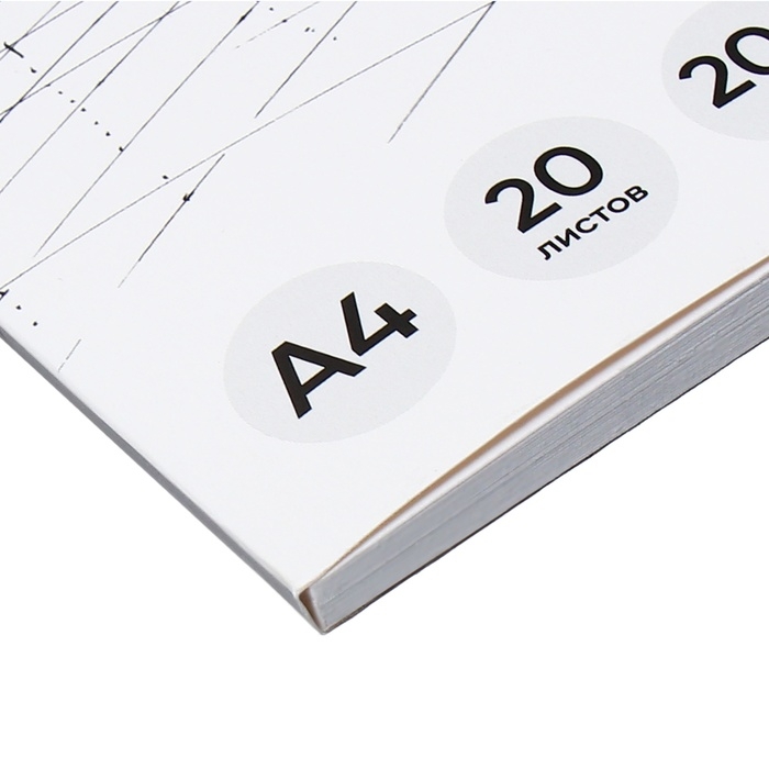 Альбом для черчения А4, 20 листов, блок 200 г/м², на клею, ErichKrause, без рамки Альбом для черчения А4, 20 листов, блок 200 г/м², на клею, ErichKrause, без рамки