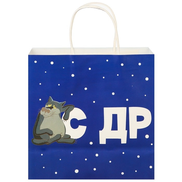 Пакет подарочный Пакет подарочный "С Др тебя если чо" 22х22х11 см, крафт, упаковка, Жил-был Пес