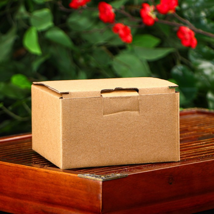 Чайник для плиты Доляна «Волна. Этно», 300 мл, с ситом, чугун, цвет бронзовый