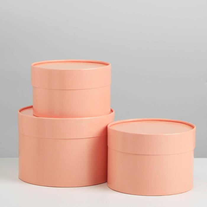 Набор шляпных коробок 3 в 1 пудровый, упаковка подарочная, 16 х 10, 14 х 9, 13 х 8,5 см Набор шляпных коробок 3 в 1 пудровый, упаковка подарочная, 16 х 10, 14 х 9, 13 х 8,5 см