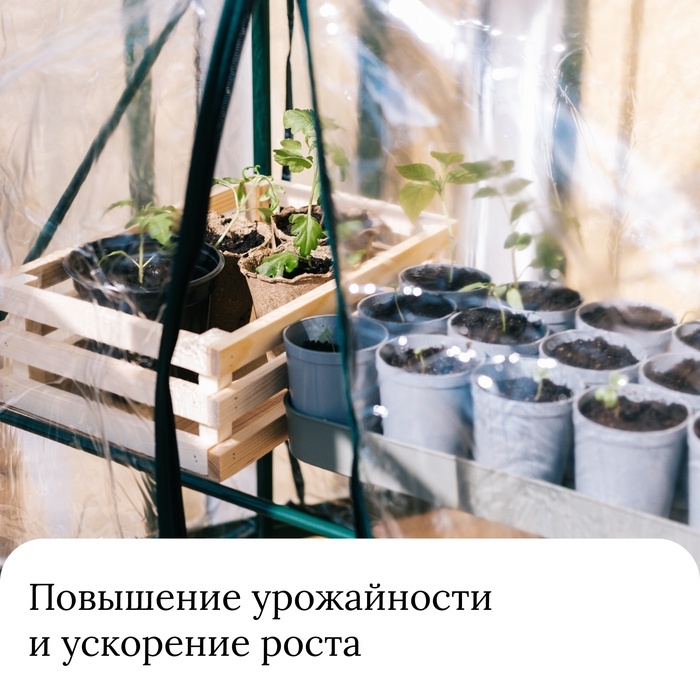 Парник-стеллаж, 3 полки, 80 × 24 × 46 см, металлический каркас d = 12 мм, чехол плёнка 80 мкм, Greengo Парник-стеллаж, 3 полки, 80 × 24 × 46 см, металлический каркас d = 12 мм, чехол плёнка 80 мкм, Greengo