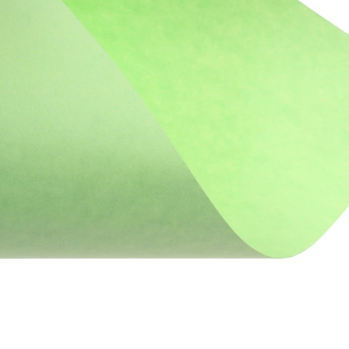 Бумага цветная А4 250л Calligrata Пастель + интенсив МИКС 10цв 80г/м2, АМБАЛАЖ Бумага цветная А4 250л Calligrata Пастель + интенсив МИКС 10цв 80г/м2, АМБАЛАЖ