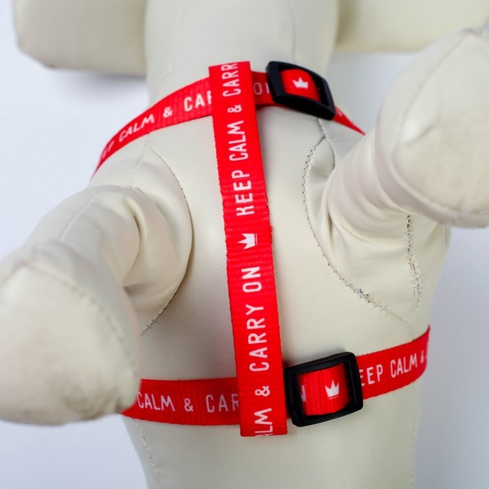 Комплект Keep calm & carry on, шлейка 36-49 см, поводок 120х1,5 см Комплект Keep calm & carry on, шлейка 36-49 см, поводок 120х1,5 см