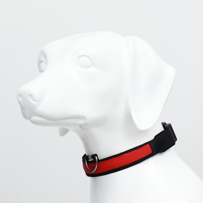 Ошейник с подсветкой Flash 3 режима свечения, размер М, ОШ 40-48 х 2,5 см, красный Ошейник с подсветкой Flash 3 режима свечения, размер М, ОШ 40-48 х 2,5 см, красный