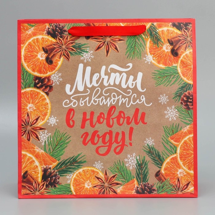 Пакет подарочный новогодний крафтовый квадратный «Мечты», 30 х 30 х 12 см, Новый год Пакет подарочный новогодний крафтовый квадратный «Мечты», 30 х 30 х 12 см, Новый год