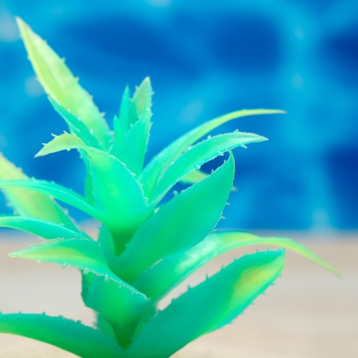 Растение искусственное аквариумное, светящееся, 10 см, зелёное Растение искусственное аквариумное, светящееся, 10 см, зелёное