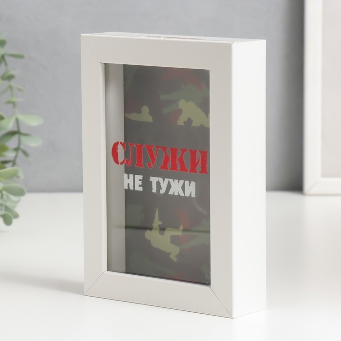 Копилка интерьерная пластик Копилка интерьерная пластик "Служи не тужи" 17х12х3,8 см