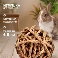 Игрушка для грызунов погрызушка &laquo;Водоросли&raquo;, 6.5 см