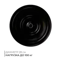 Диск здоровья, металлический, d=28 см, двухцветный