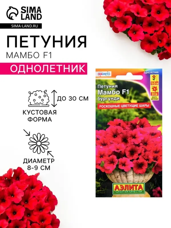 Семена цветов Петуния &laquo;Мамбо&raquo; F1 бургунди, многоцветковая, 7 шт.