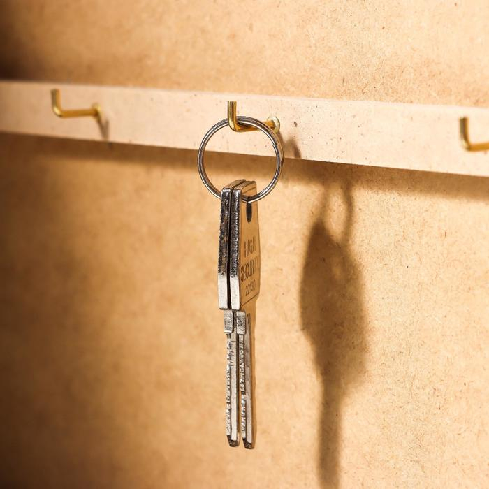 Ключница Ключница "Исаакиевский собор" 26х31 см венге