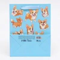 Пакет подарочный «Милые пёсики», MS 18 × 23 × 10 см Пакет подарочный «Милые пёсики», MS 18 × 23 × 10 см