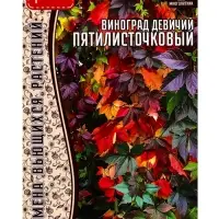 Семена Виноград девичий &laquo;Пятилисточковый&raquo;, 5 шт., &laquo;Григорьев&raquo;