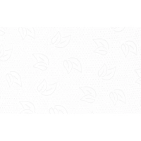 Бумага туалетная д/дисп Protissue 2сл белая цел 170м 12рул/уп_С191