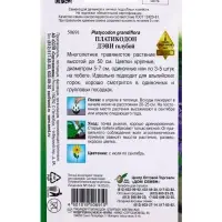 Семена цветов Платикодон Деви, голубой 30 шт