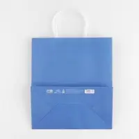 Пакет подарочный крафтовый, упаковка, «Blue», 22 х 25 х 12 см Пакет подарочный крафтовый, упаковка, «Blue», 22 х 25 х 12 см