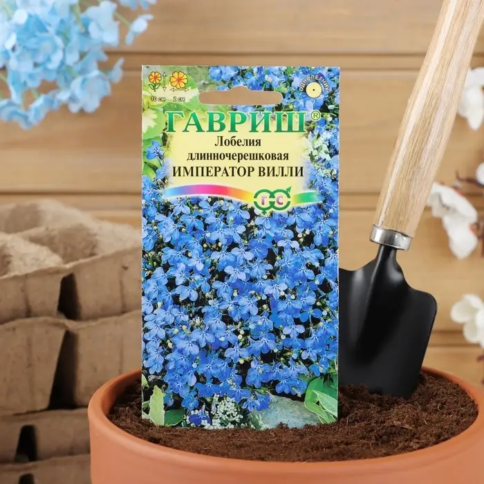 Семена цветов Лобелия Семена цветов Лобелия "Император Вилли", ц/п, О, 0.01 г