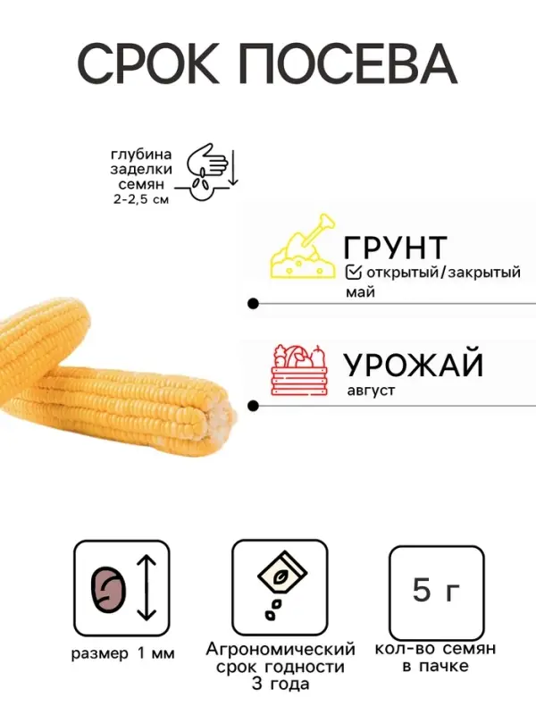 Семена Кукуруза сахарная &laquo;Утренняя песня&raquo;, 5 г, &laquo;Удачные семена&raquo;