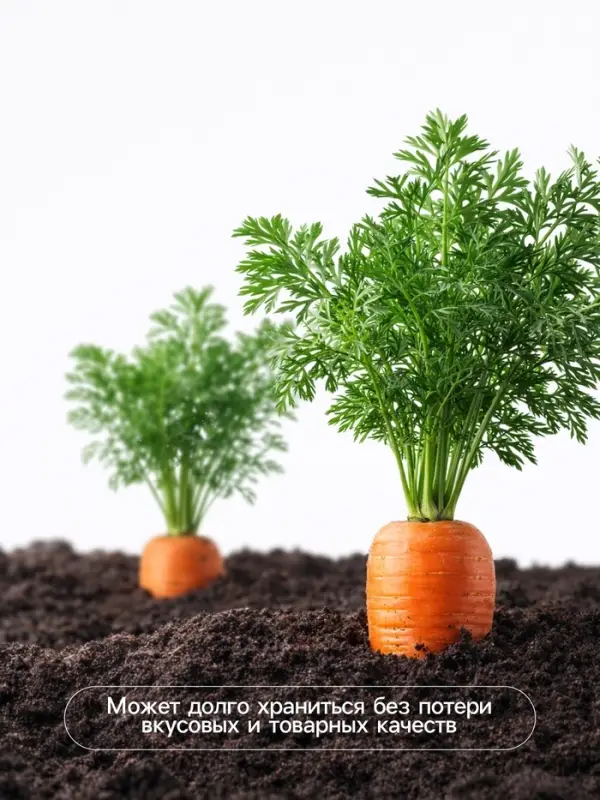 Семена Морковь &laquo;Красный великан Роте Ризен&raquo;, драже, 300 шт., &laquo;Росток-гель&raquo;