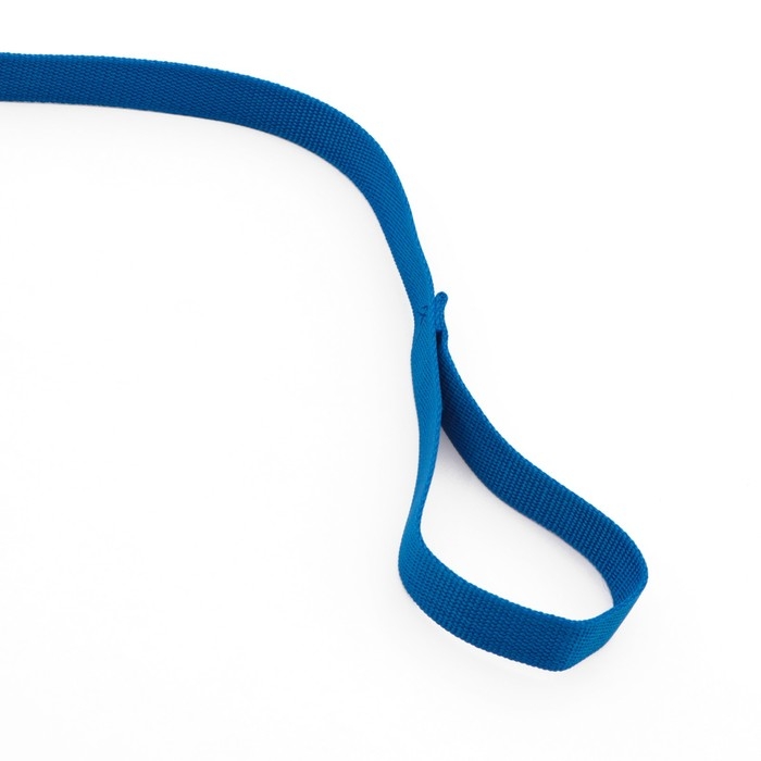 Поводок 5 м х 2,5 см, синий Поводок 5 м х 2,5 см, синий