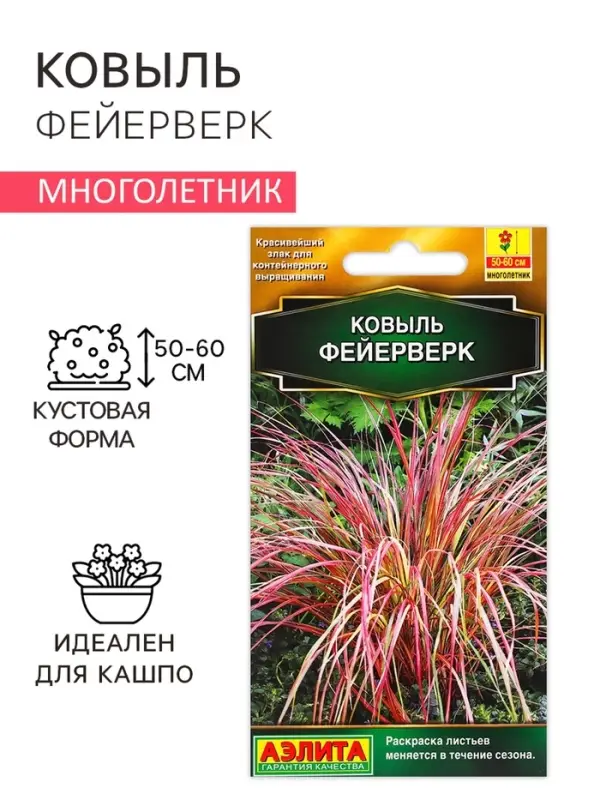 Семена цветов Ковыль  Семена цветов Ковыль "Фейерверк", 5 шт.