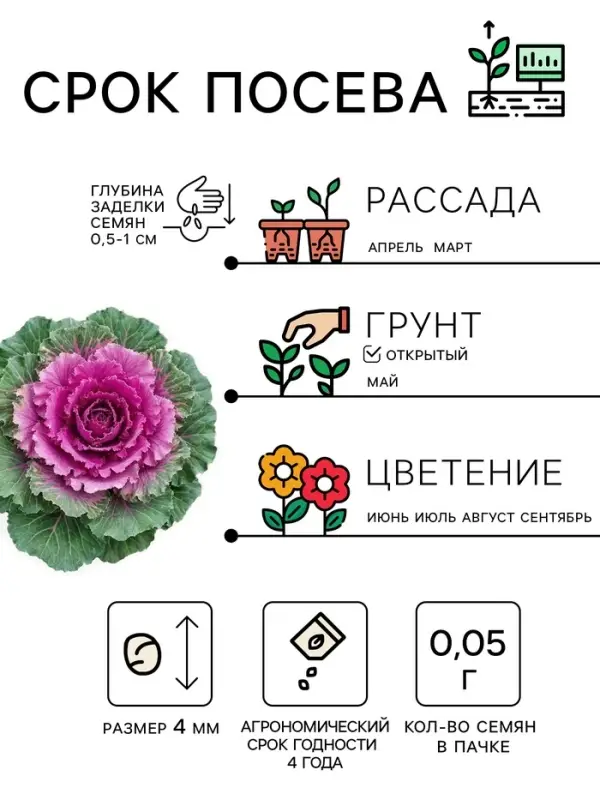 Семена цветов Капуста Декоративная, 0.05 г, &laquo;Рецепты дедушки Никиты&raquo;