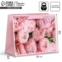 Пакет подарочный ламинированный, упаковка, &laquo;For you&raquo;, MS 23&times;18&times;10 см