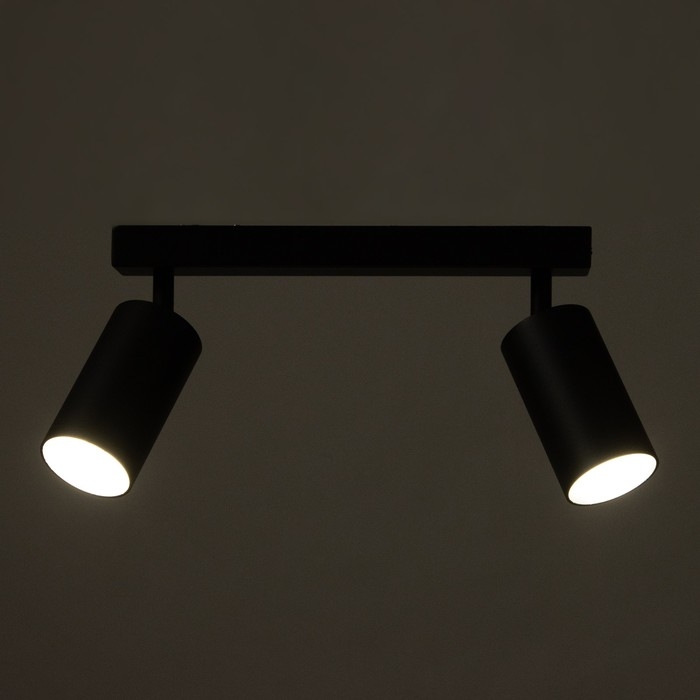 Спот Спот "Этнес" 2хGU10 черный 29,5х6,5х16,5 см