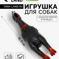 Игрушка для собак малая &laquo;Задумчивая курица&raquo;, 16.5 см, пищащая, винил, чёрная