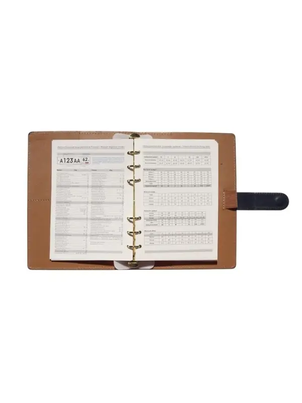 Органайзер на кольцах, C6, с хлястиком, 80л, линия, к/зам, Синий Органайзер на кольцах, C6, с хлястиком, 80л, линия, к/зам, Синий