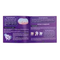 Набор для опытов &laquo;Анатомия&raquo;, челюсть человека