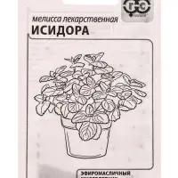 Набор семян Зелень пряная, 10 шт.