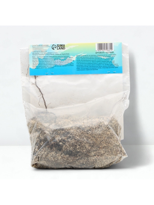 Флокс «Бэби Фейс» корневище в пакете с торфогрунтом, р-р I, 2 шт.