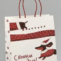 Пакет подарочный крафт &laquo;С Новым годом&raquo;, 22&times;22&times;11 см