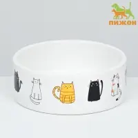 Миска &laquo;Котяры&raquo; 300 мл 12.5&times;4.5 см, керамика, белая