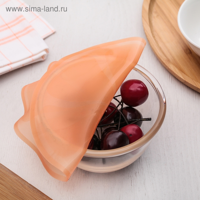 Крышка силиконовая для хранения продуктов «Цитрус», d=18 см, цвет МИКС Крышка силиконовая для хранения продуктов «Цитрус», d=18 см, цвет МИКС