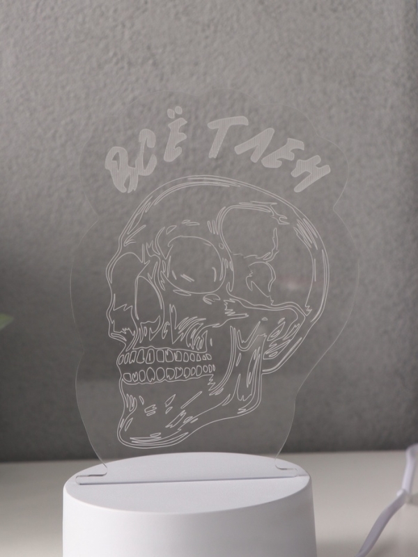 Светильник Светильник "Череп. Всё тлен" LED RGB от сети RISALUX 9,5х10,2х14,9 см