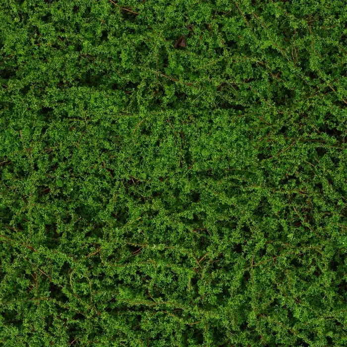 Декоративная панель, 90&times;40 см, &laquo;Мох&raquo;, Greengo